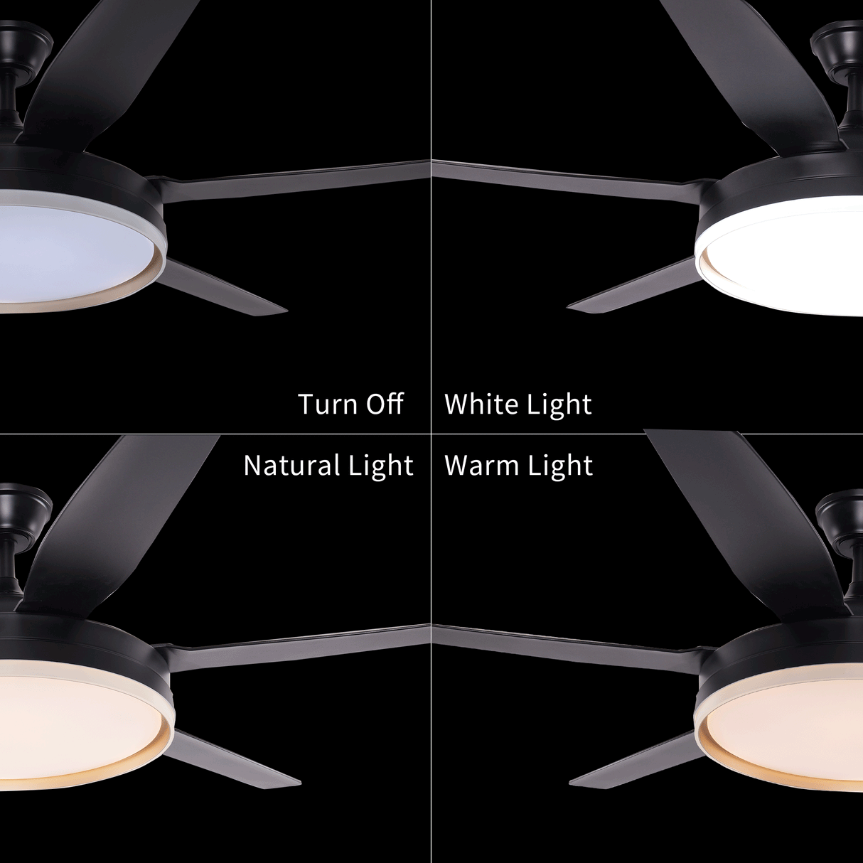 Black 57inch LED Ceiling Fan with Remote, Quiet DC Motor