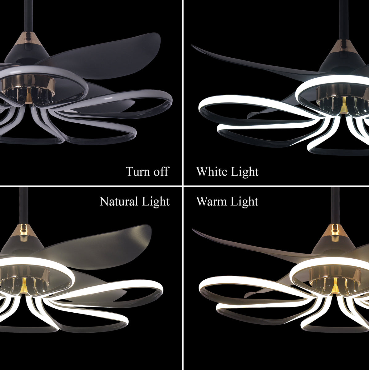 36-inch Black Modern Petal LED Ceiling Fan with Light - 6-Speed with Remote Control