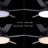 Black 57inch LED Ceiling Fan with Remote, Quiet DC Motor