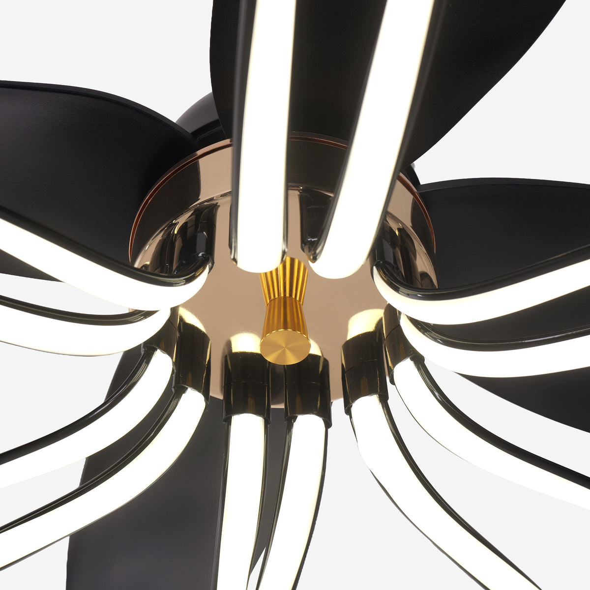 36-inch Black Modern Petal LED Ceiling Fan with Light - 6-Speed with Remote Control