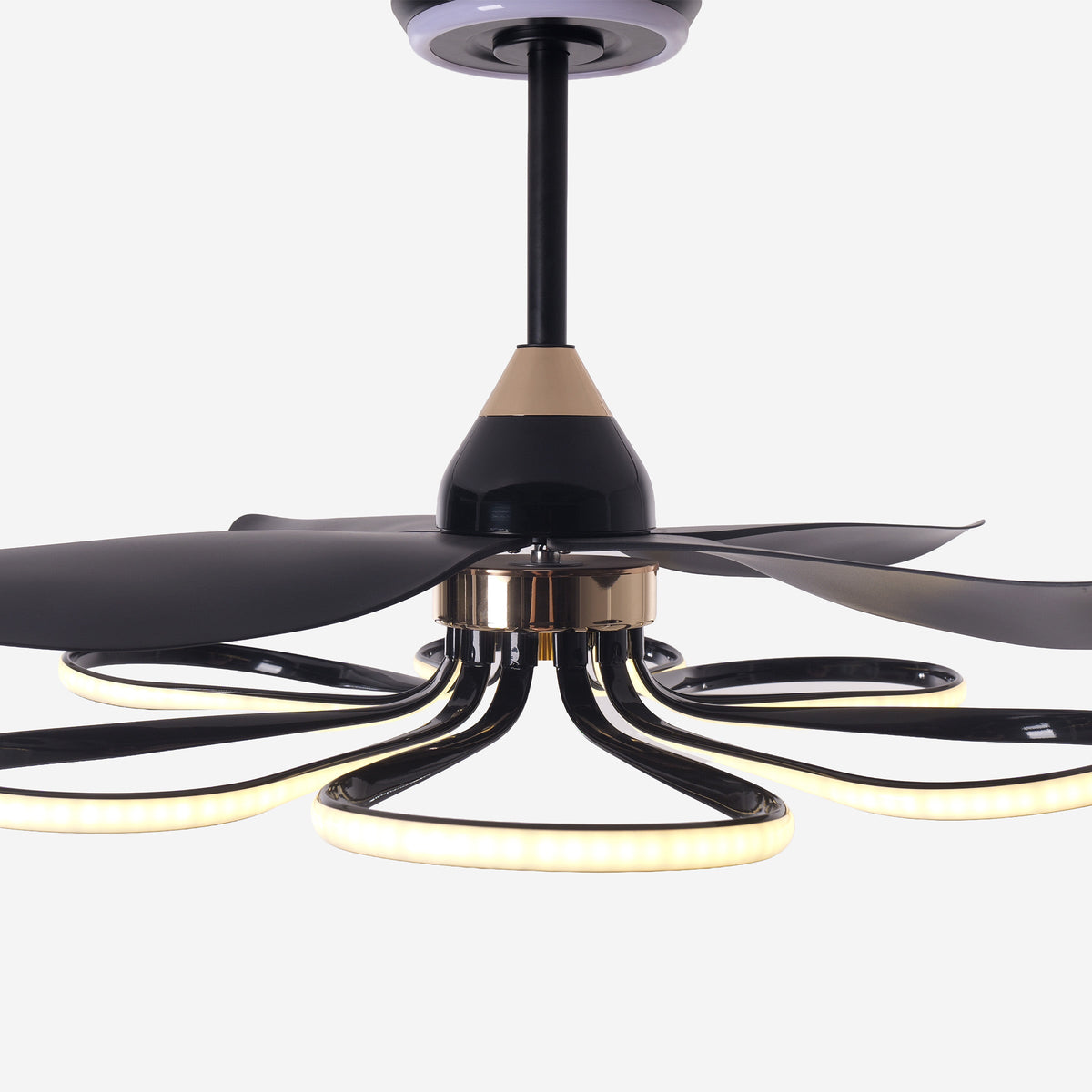 36-inch Black Modern Petal LED Ceiling Fan with Light - 6-Speed with Remote Control