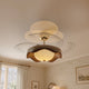 Ceiling Fan Lights
